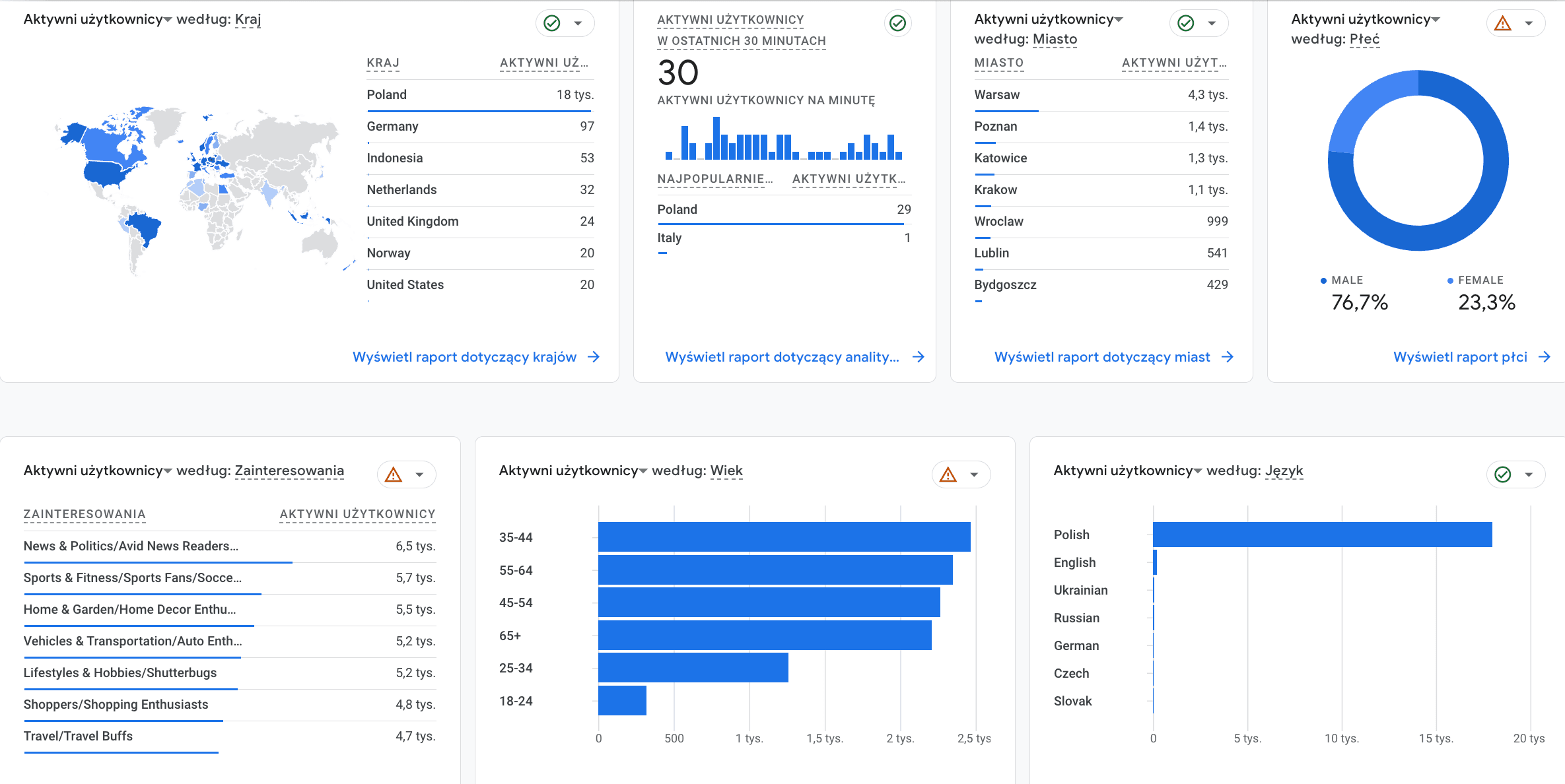 screen z Google Analytics