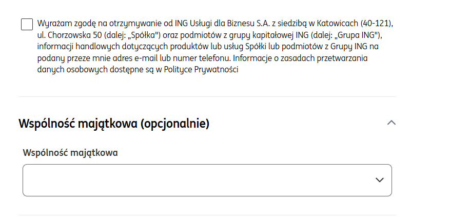 widok wniosku o rejestrację firmy