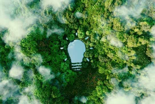 las i jezioro w kształcie żarówki