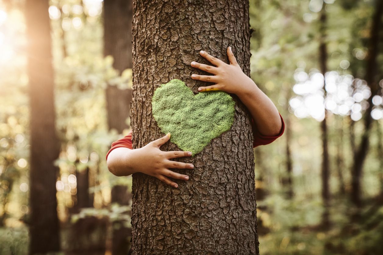 dłonie na drzewie i zielone serce
