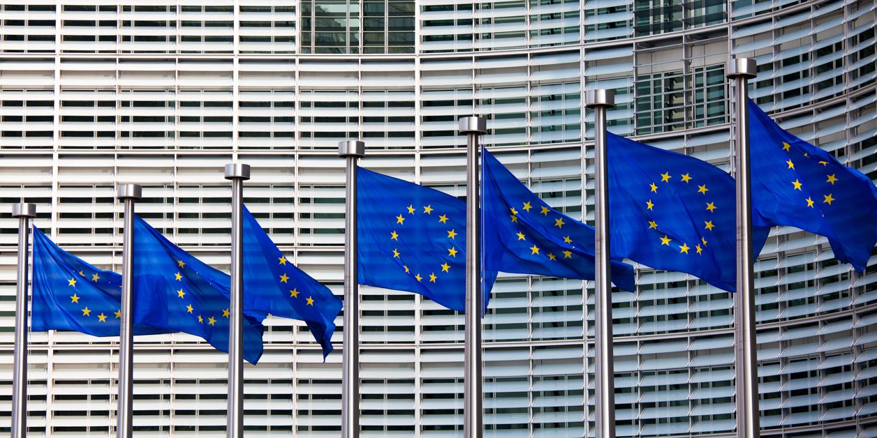 flagi Unii Europejskiej na tle budynku