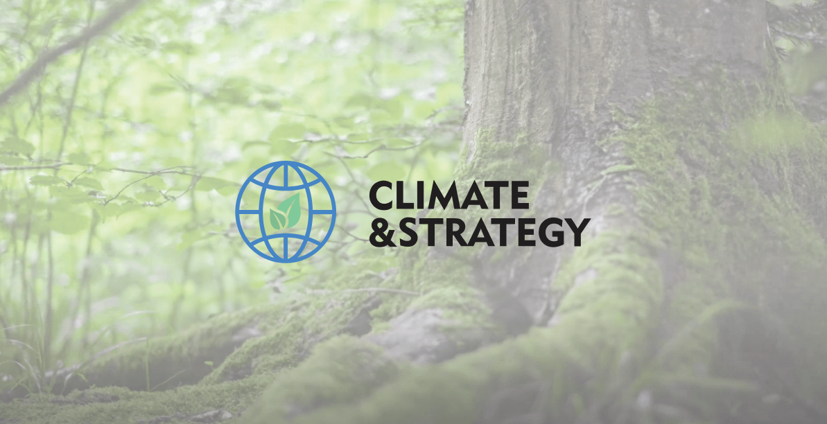 Tapeta z lasem i logo Climate Strategies Poland